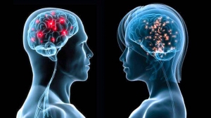 10 اختلافات بين دماغ الرجل ودماغ المرأة.. هل تعلم ما هى ؟