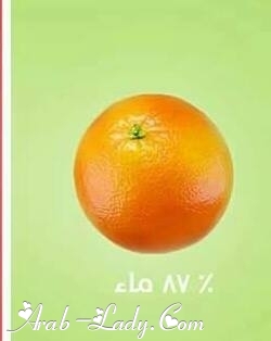 الغذاء المائي ...غذاء صحي الغذاء المائي ...غذاء صحي
