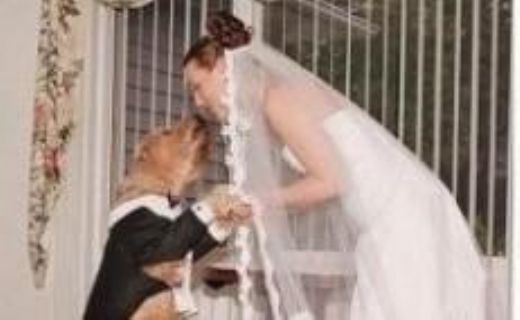 Image Result For Cerita Dewasa Ngentot Dengan Tante Arab Image Result For Cerita Dewasa Ngentot Dengan Tante Arab