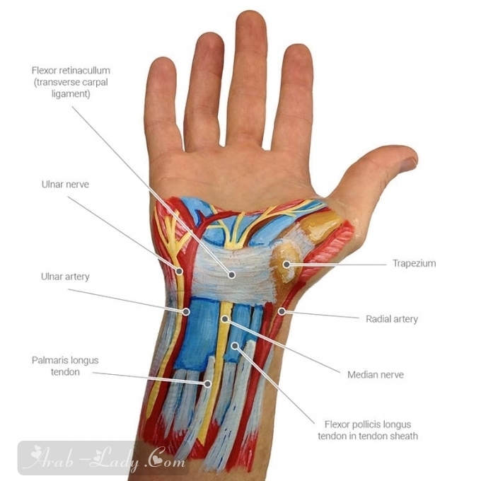 كل ما يجب أن تعرفيه عن متلازمة النفق الرسغي - CTS