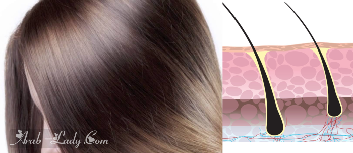 طرق اختبار صحة الشعر.. تحققي بنفسك من شعرك